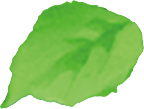 leaf